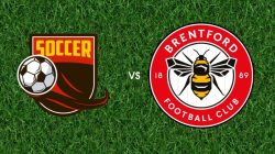 Prediksi Macclesfield Town vs Brentford – 17 Februari 2026, FA Cup