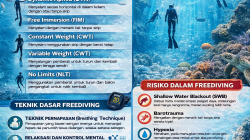 Selam Bebas (Freediving): Menjelajahi Kedalaman Laut dengan Satu Tarikan Napas: Risiko dan Tekniknya