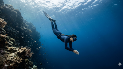 Freediving: Menjelajahi Kedalaman Laut dengan Satu Tarikan Napas